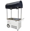 Commercial Fashion Style Mini Ice Cream Hand Push Vending Cart Outdoor Ice Cream Push Cart