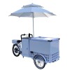 Outdoor Customized Ice Cream Cart with Freezer Mobile Bicyle Outdoor Gelato Vending Cart