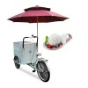 Food Truck Stainless Steel Ice Cream Cart Bicycle New Design Outdoor Street Tricycle Food Gelato Cart