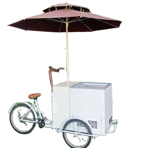 Food Truck Stainless Steel Ice Cream Cart Bicycle New Design Outdoor Street Tricycle Food Gelato Cart