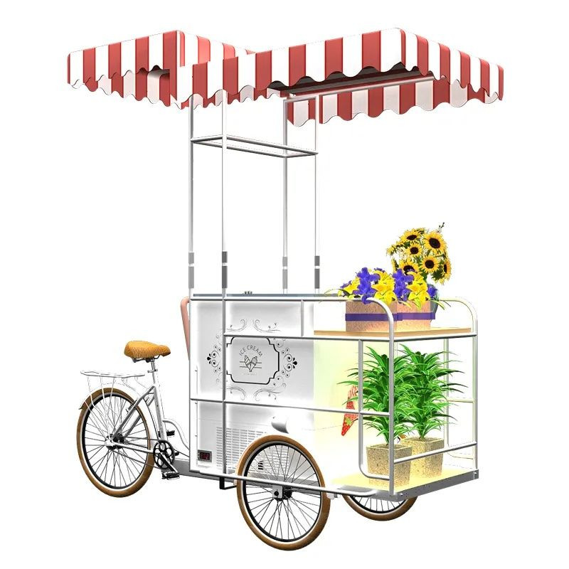 Mobile Food Trailer Cake Showcase Tricycles Cart for Ice Cream Popsicle
